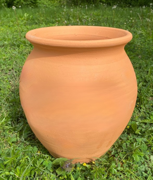 Tête du lombricomposteur à...