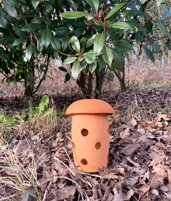 Lombricomposteur à enterrer...