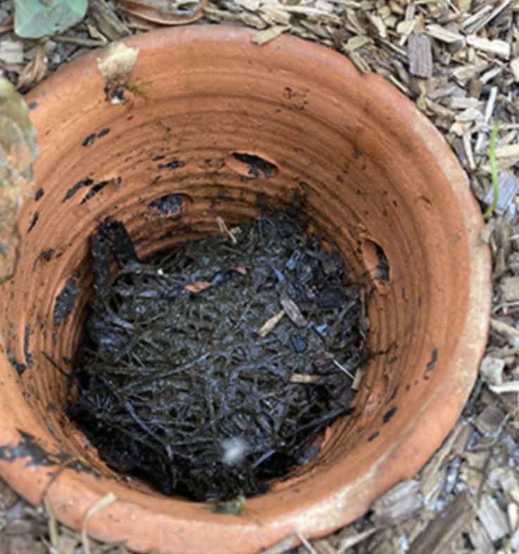 Lombricomposteur à enterrer -  0,8 L