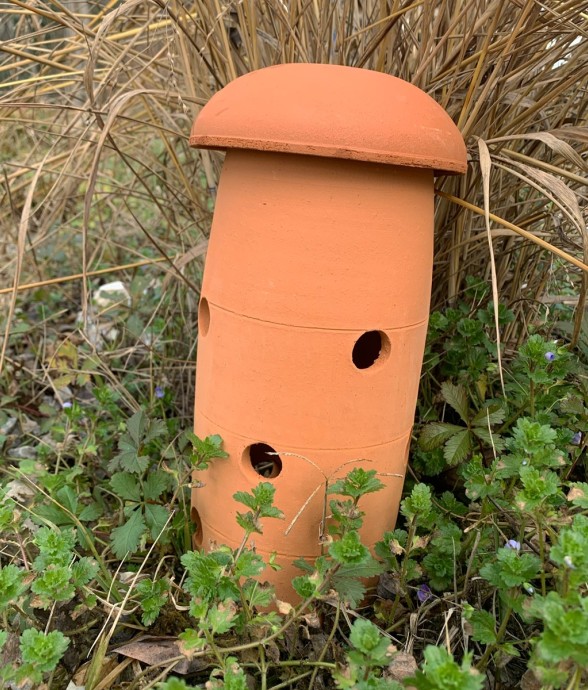 Lombricomposteur à enterrer...