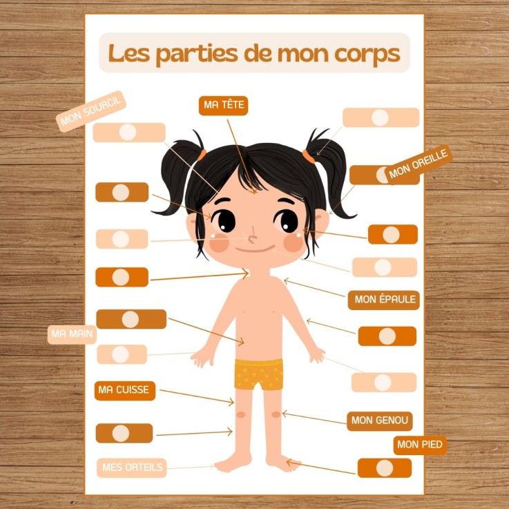 J'apprends les différentes parties de mon corps – Fille