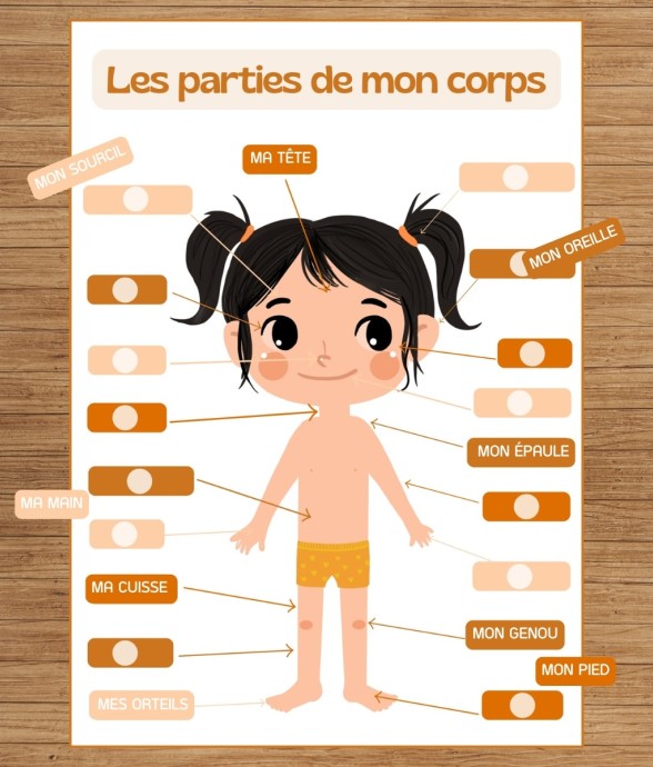 J'apprends les différentes...