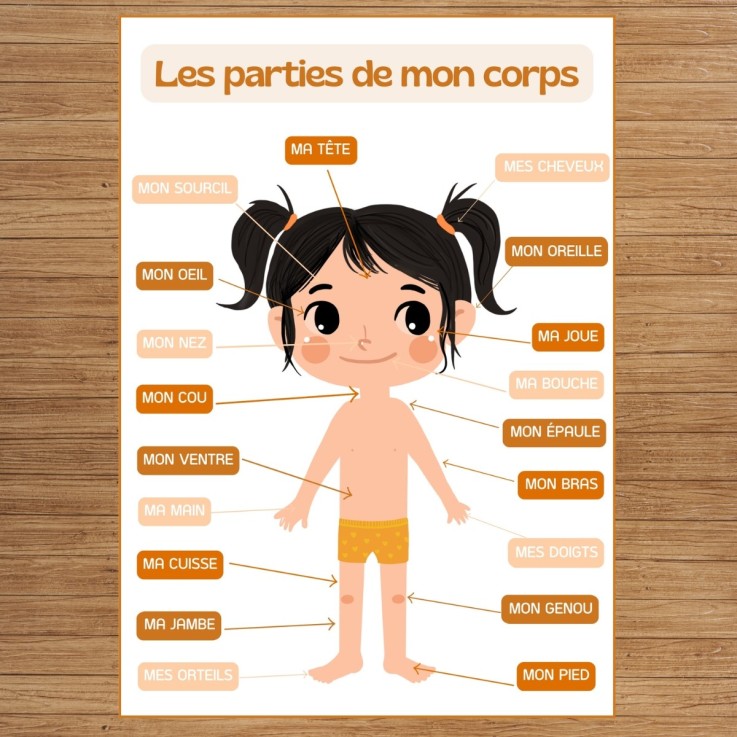 J'apprends les différentes parties de mon corps – Fille