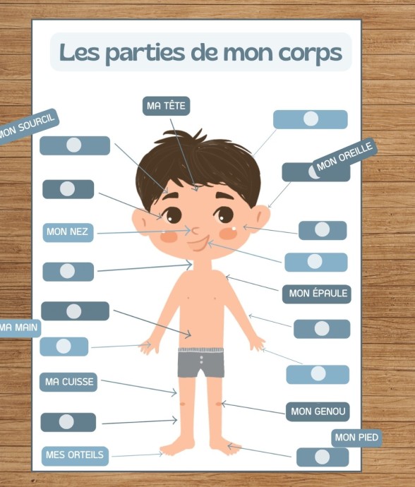 J'apprends les différentes...