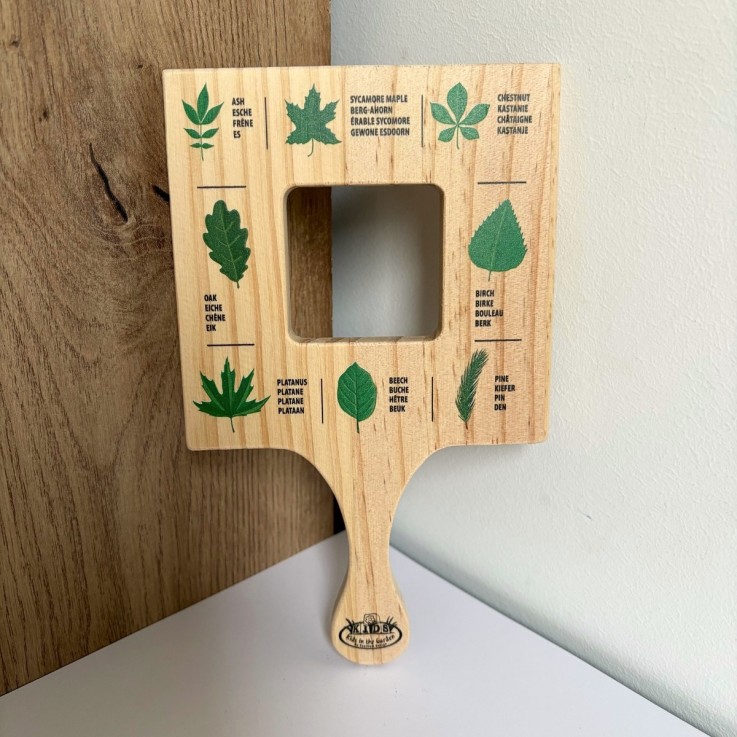 Cadre d'exploration feuilles