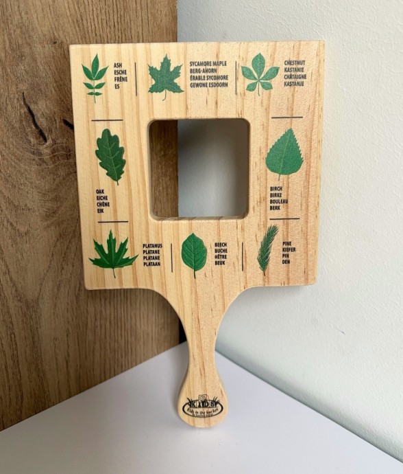 Cadre d'exploration feuilles