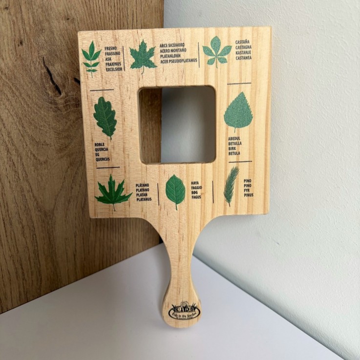 Cadre d'exploration feuilles