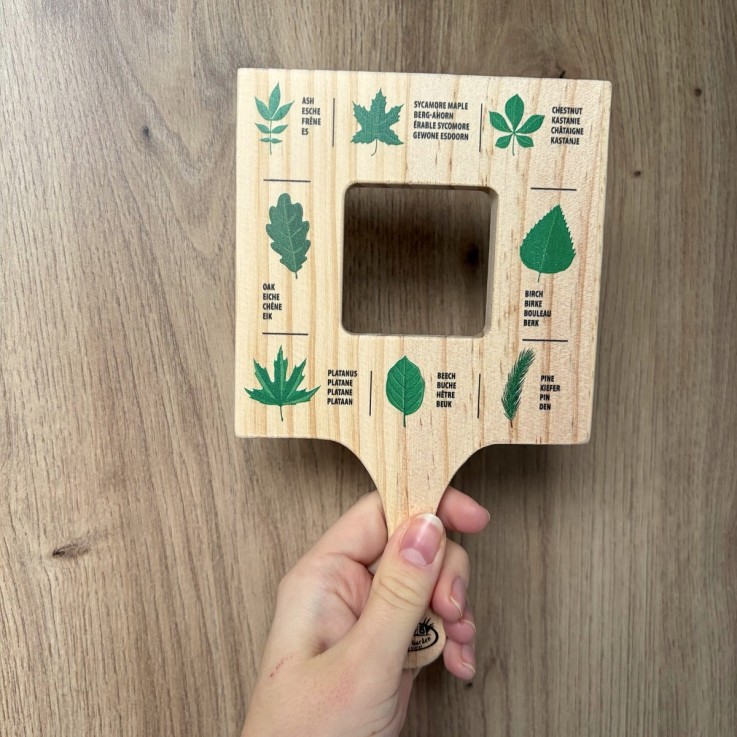 Cadre d'exploration feuilles