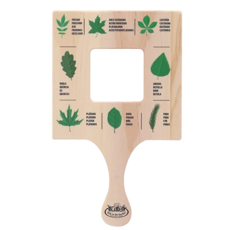 Cadre d'exploration feuilles