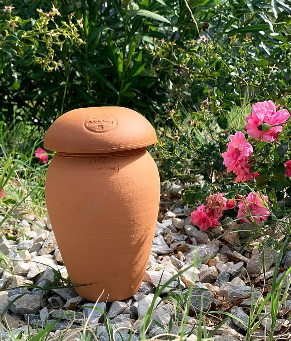 Ollas ORIGIN d'irrigation -...