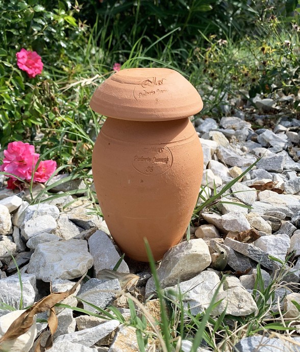 Ollas ORIGIN d'irrigation -...