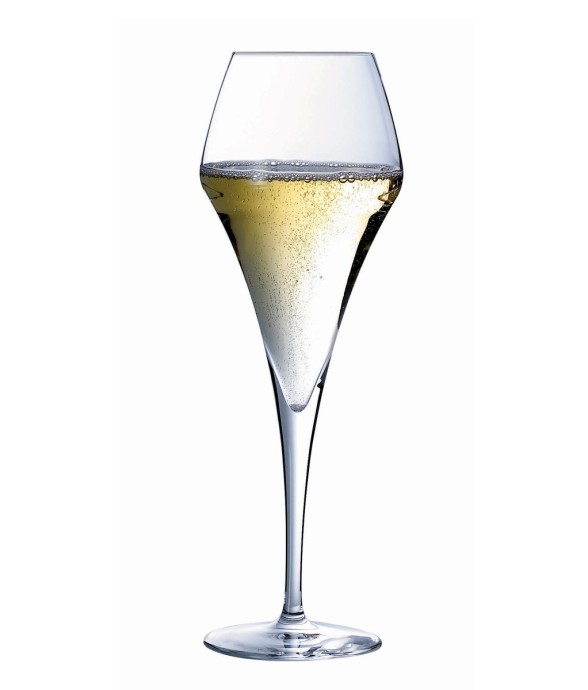 Lot de 6 flûtes 21 cl