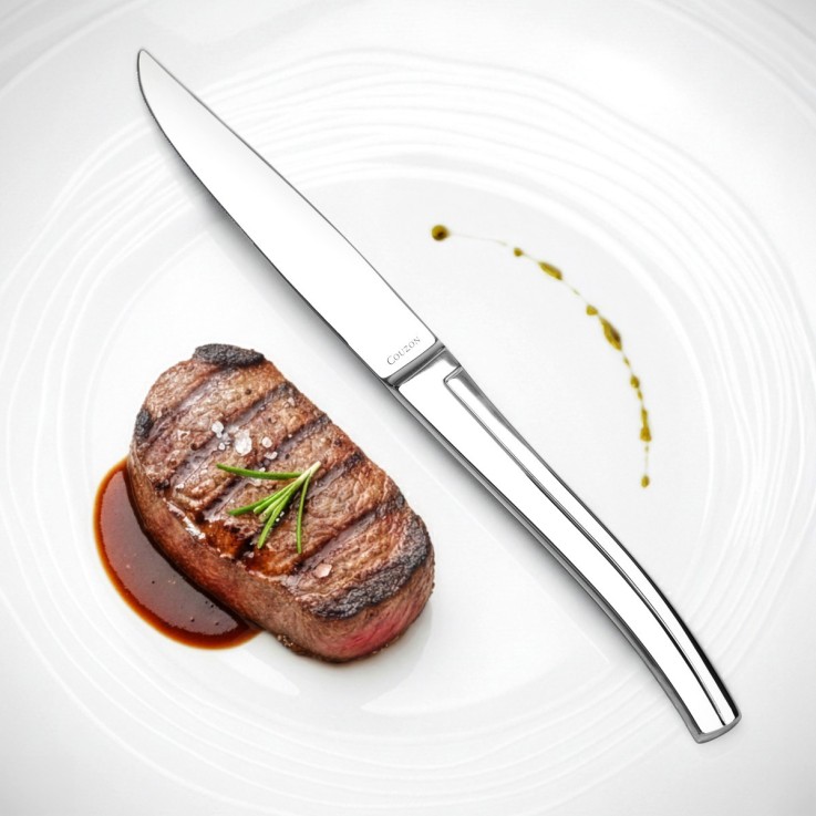 Lot 4 couteaux steak en inox