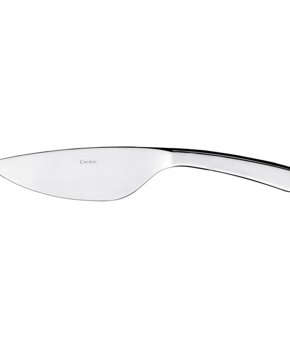 Couteau/pelle à tarte en inox