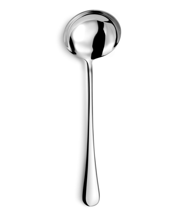Louche universelle en inox