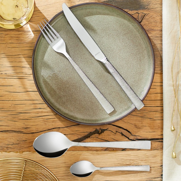 Lot 12 cuillères à café Jewel en inox