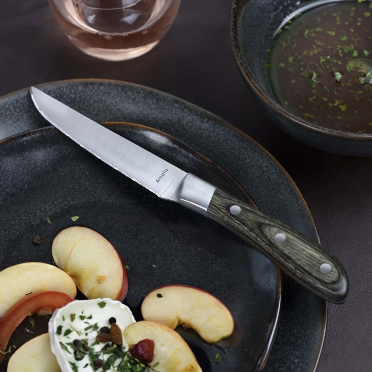 Coffret de 4 couteaux steak