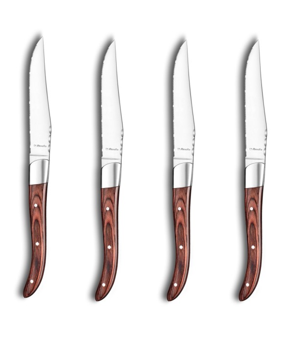 Coffret 4 couteaux steak