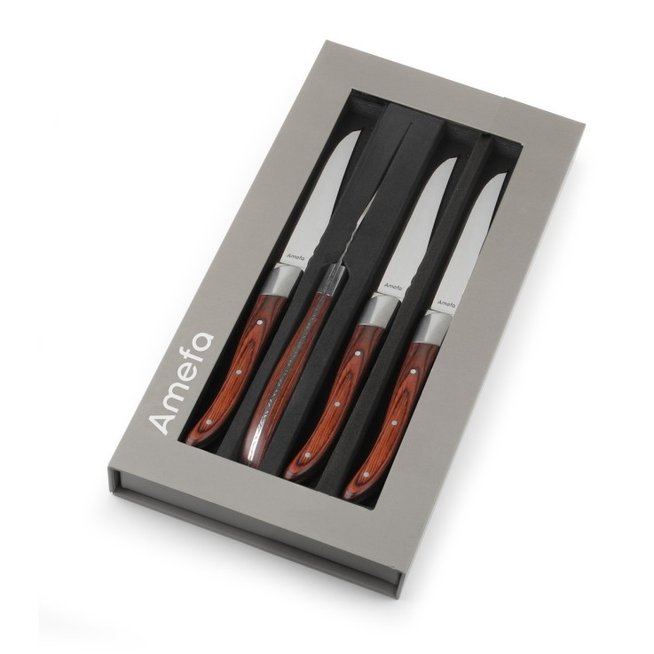 Coffret 4 couteaux steak