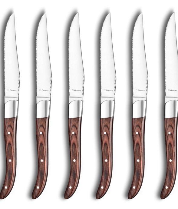 Coffret 6 couteaux steak
