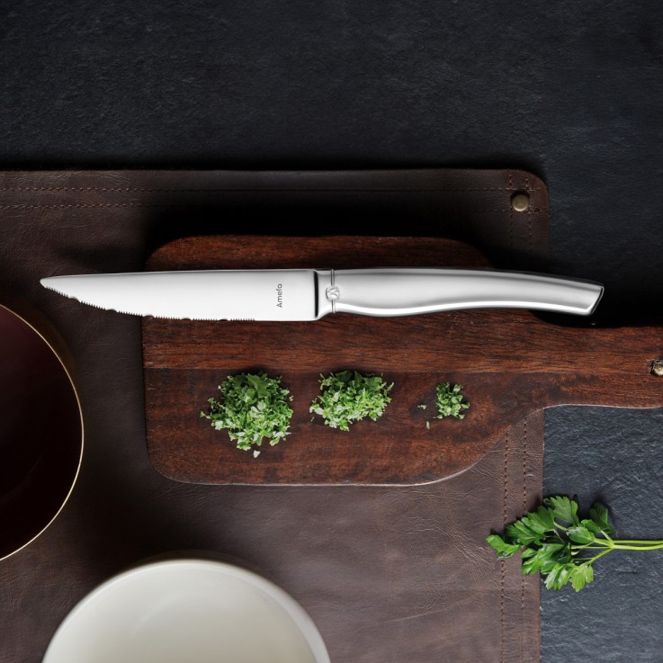 Coffret magnet 6 couteaux steak