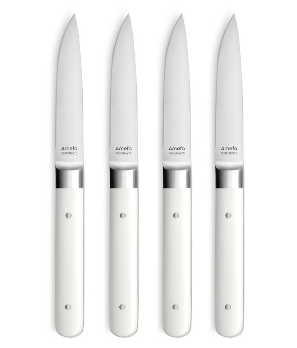 Coffret 4 couteaux steak