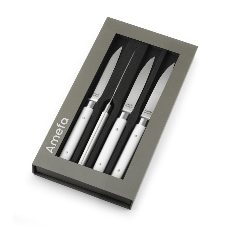 Coffret 4 couteaux steak