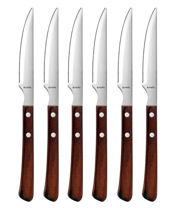 Coffret 6 couteaux steak