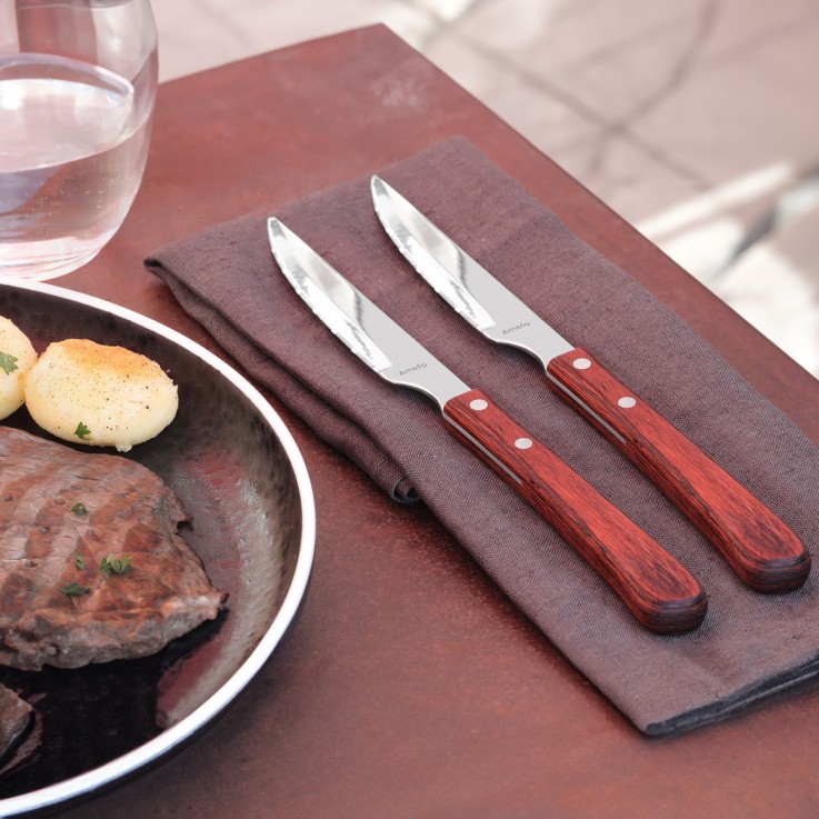 Coffret 6 couteaux steak
