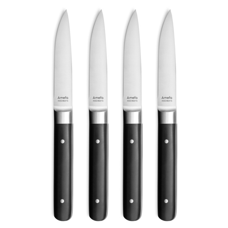 Coffret 4 couteaux steak