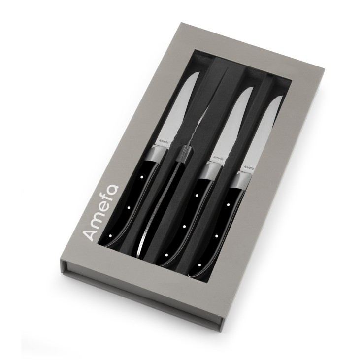 Coffret 4 couteaux steak