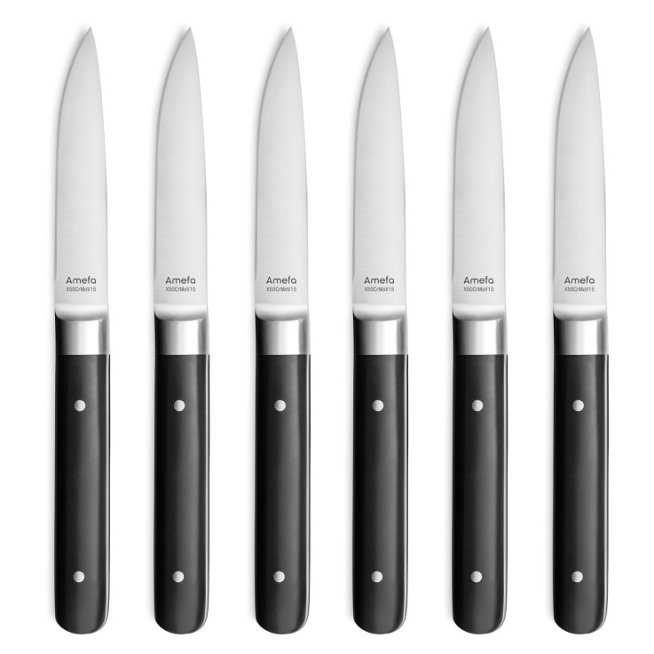 Coffret 6 couteaux steak