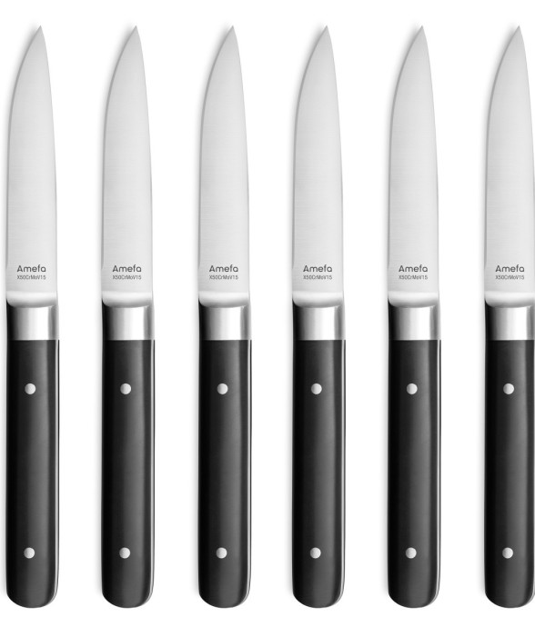 Coffret 6 couteaux steak