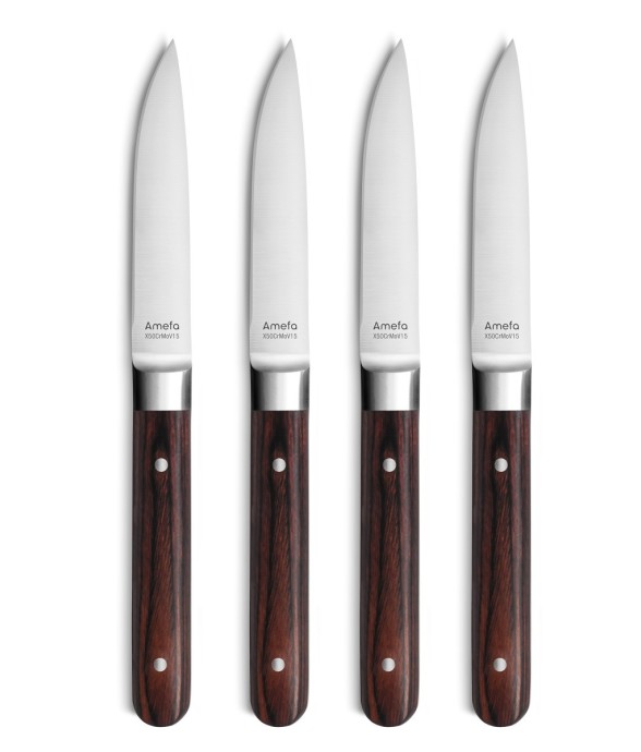 Coffret 4 couteaux steak -...