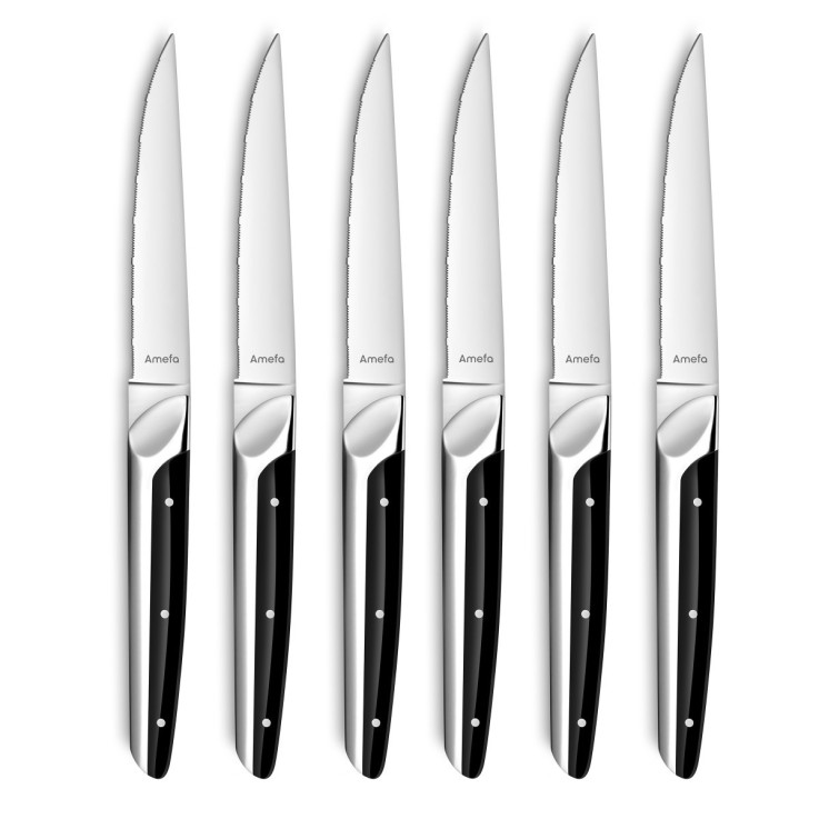 Coffret magnet 6 couteaux steak en inox