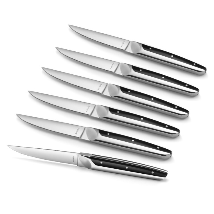 Coffret magnet 6 couteaux steak en inox