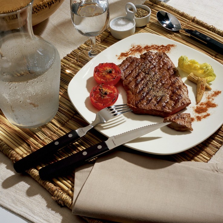 6 couteaux steak