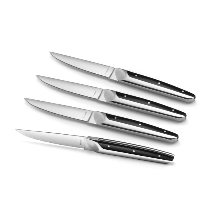 Coffret 4 couteaux steak