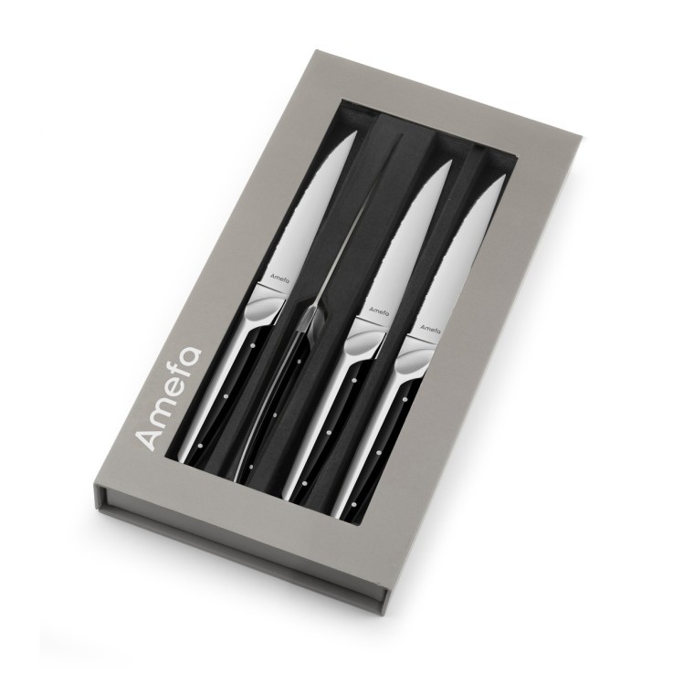 Coffret 4 couteaux steak