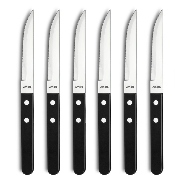 Coffret 6 couteaux steak