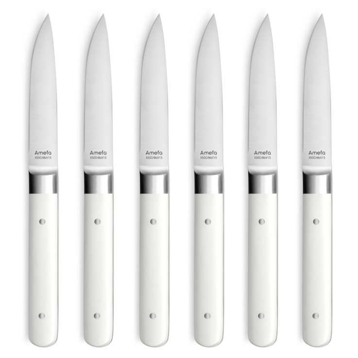 Coffret 6 couteaux steak