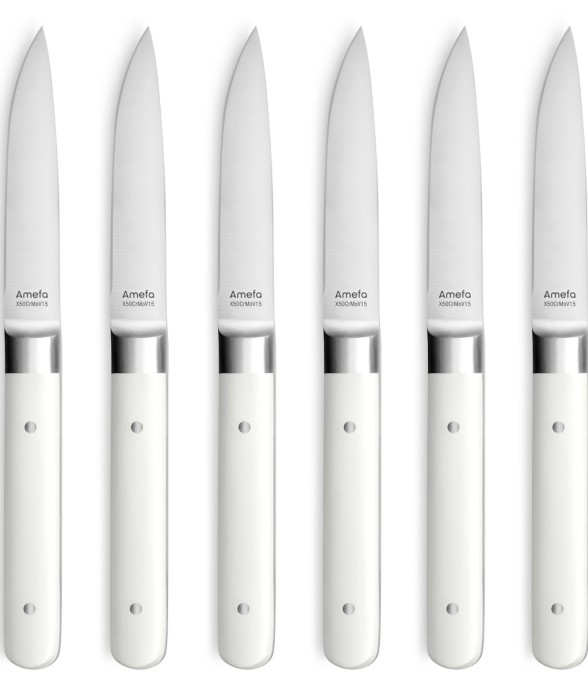 Coffret 6 couteaux steak