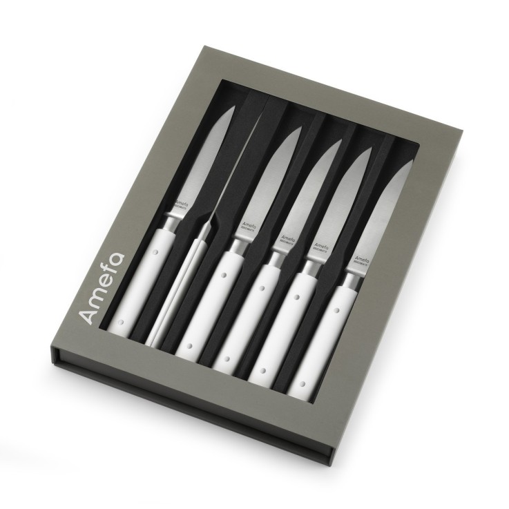 Coffret 6 couteaux steak