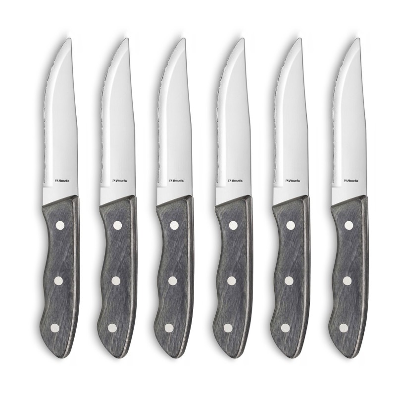 Set 6 couteaux steak