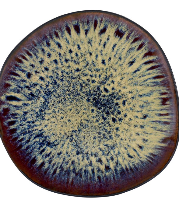 Assiette plate 27 cm (lot...