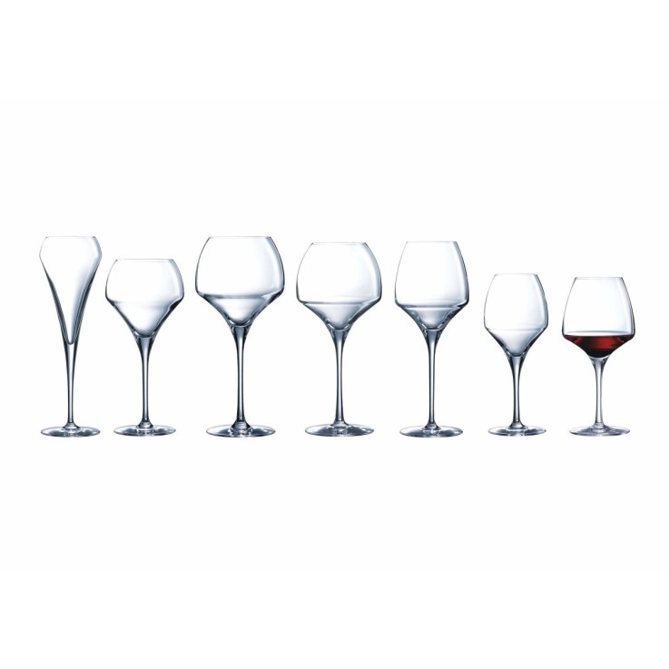 Coffret 2 verres à pied 40 cl Universal Tasting
