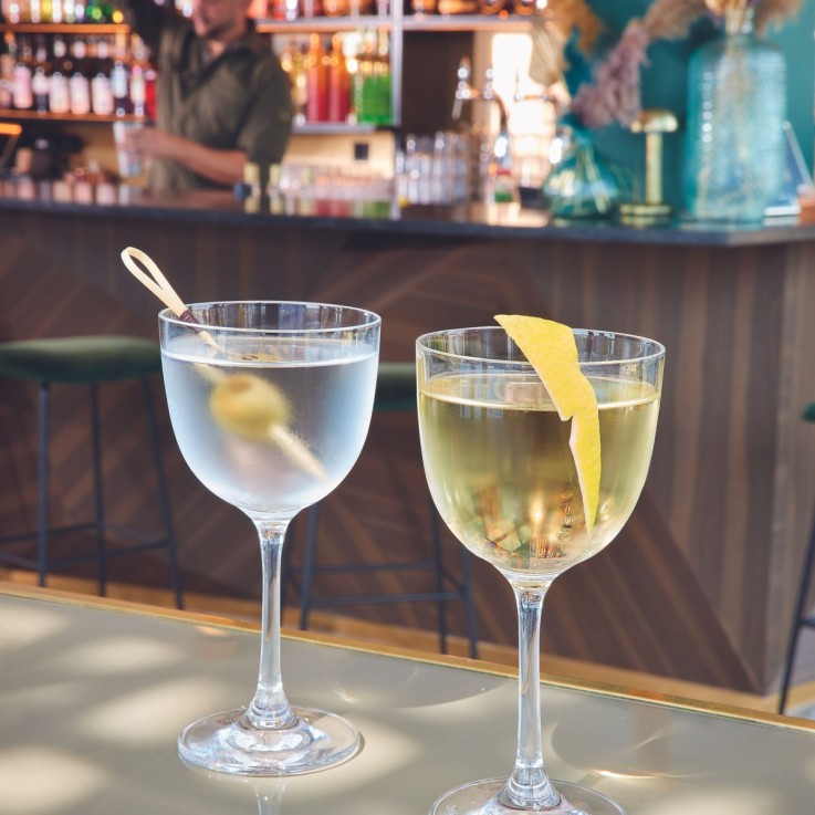 6 coupes Nick & Nora 15 cl