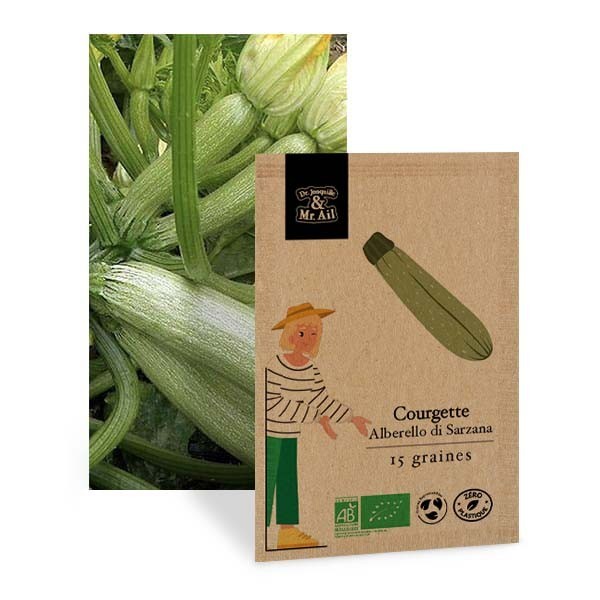 Courgette Alberello di Sarzana - Graines bio