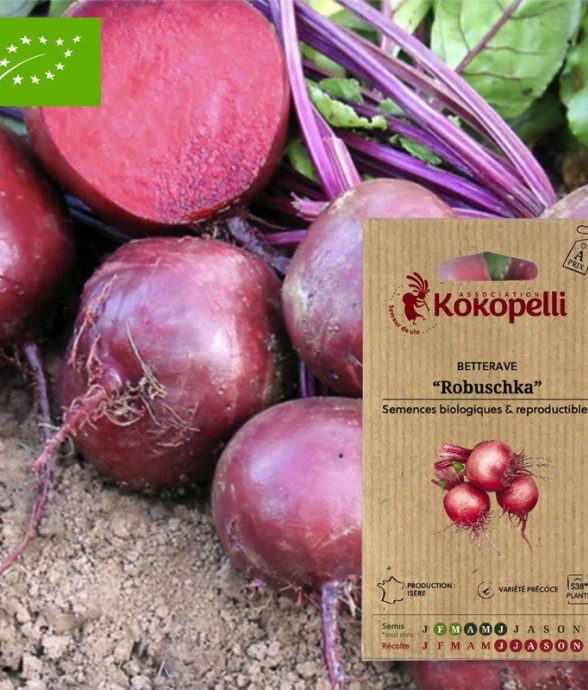 Betterave Rouge Robuschka-...