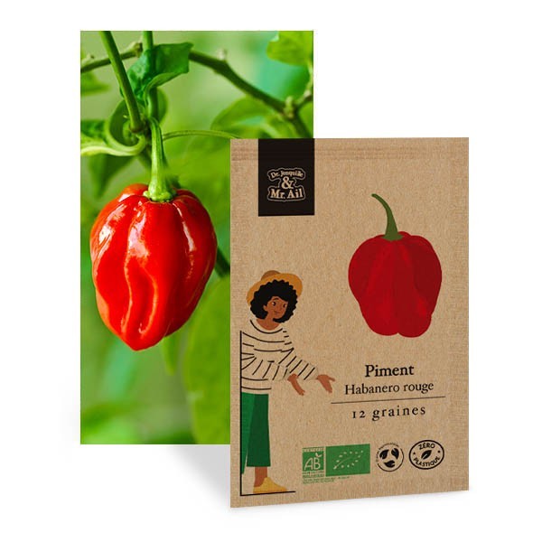 Piment Habanero Rouge - Graines bio